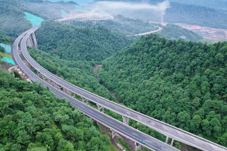 1763434781697406.png 1.png