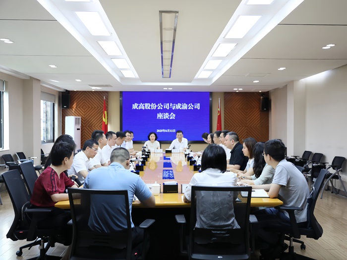 6.11+成渝公司与成高股份公司交流座谈.jpg