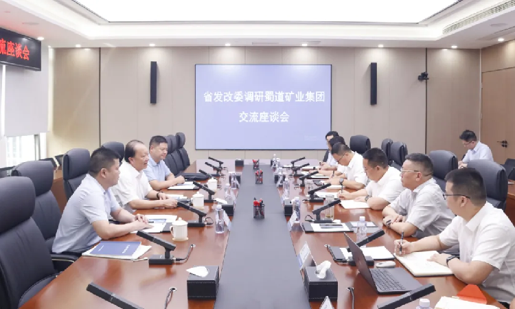 825省发展改革委调研蜀道矿业集团.png