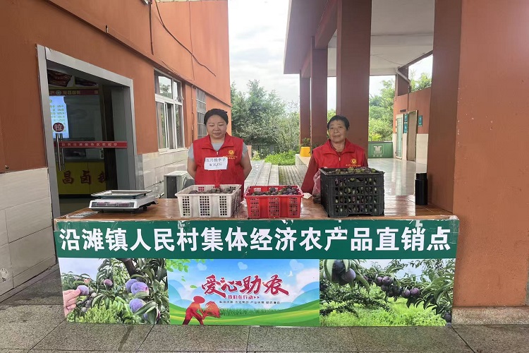 1785826021759398.jpg 图片1.jpg