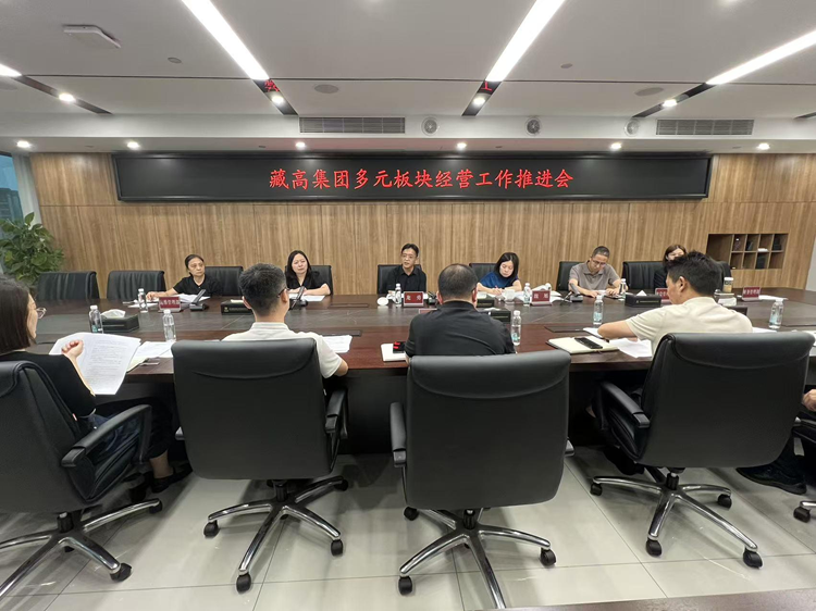 2026.8.6-藏高集团召开多元板块经营工作推进会.png